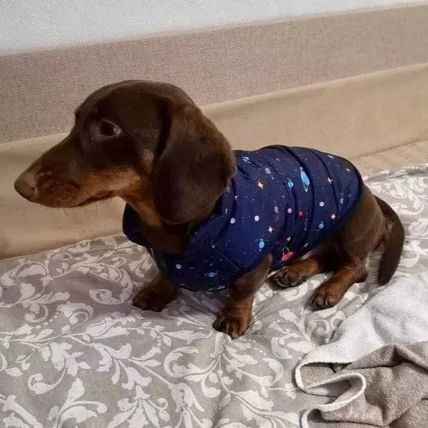 Planet Print Puffer Dachshund Jacket