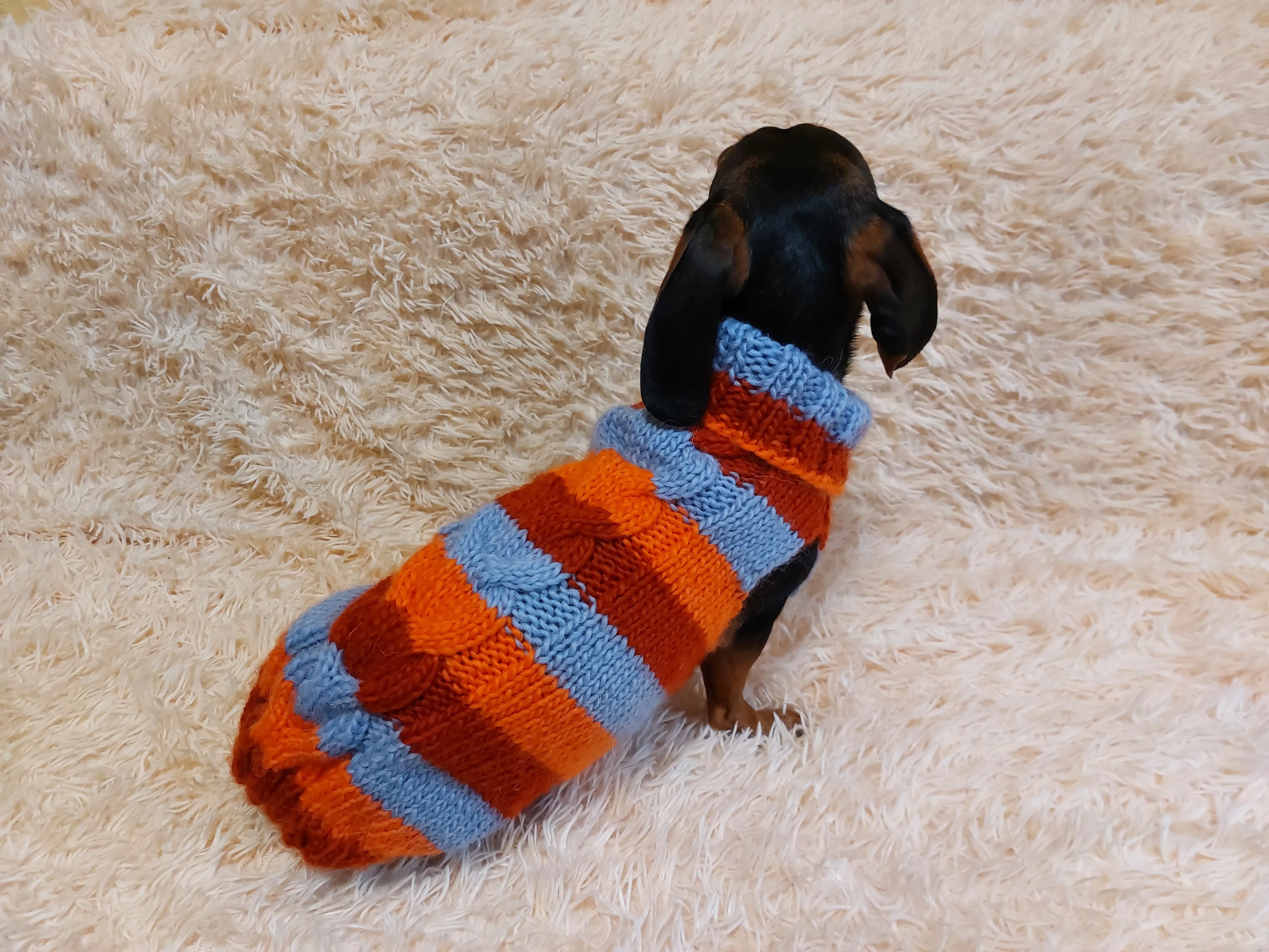 Striped wool winter clothes for animals, jumper with stripes for dogs