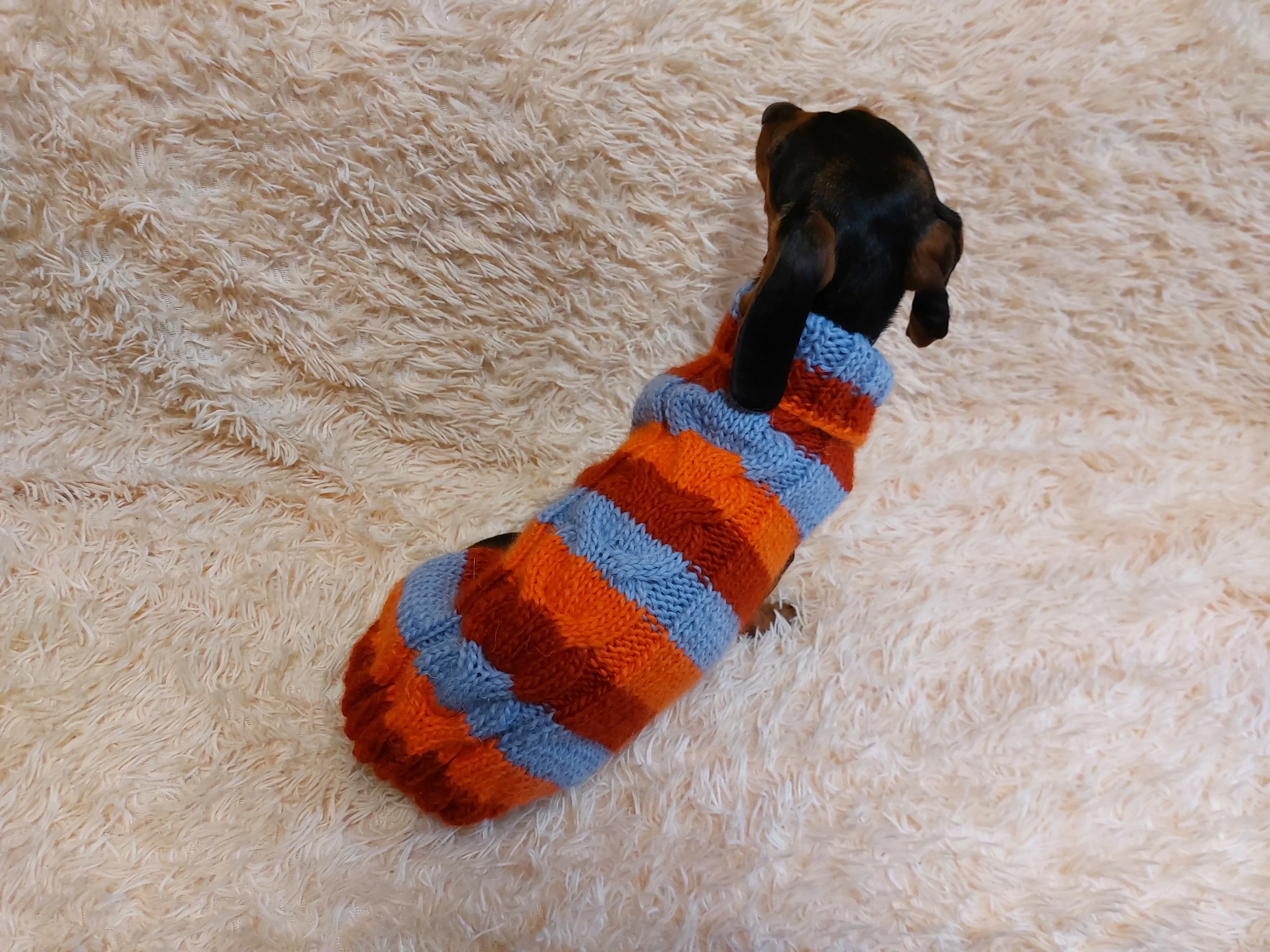 Striped wool winter clothes for animals, jumper with stripes for dogs