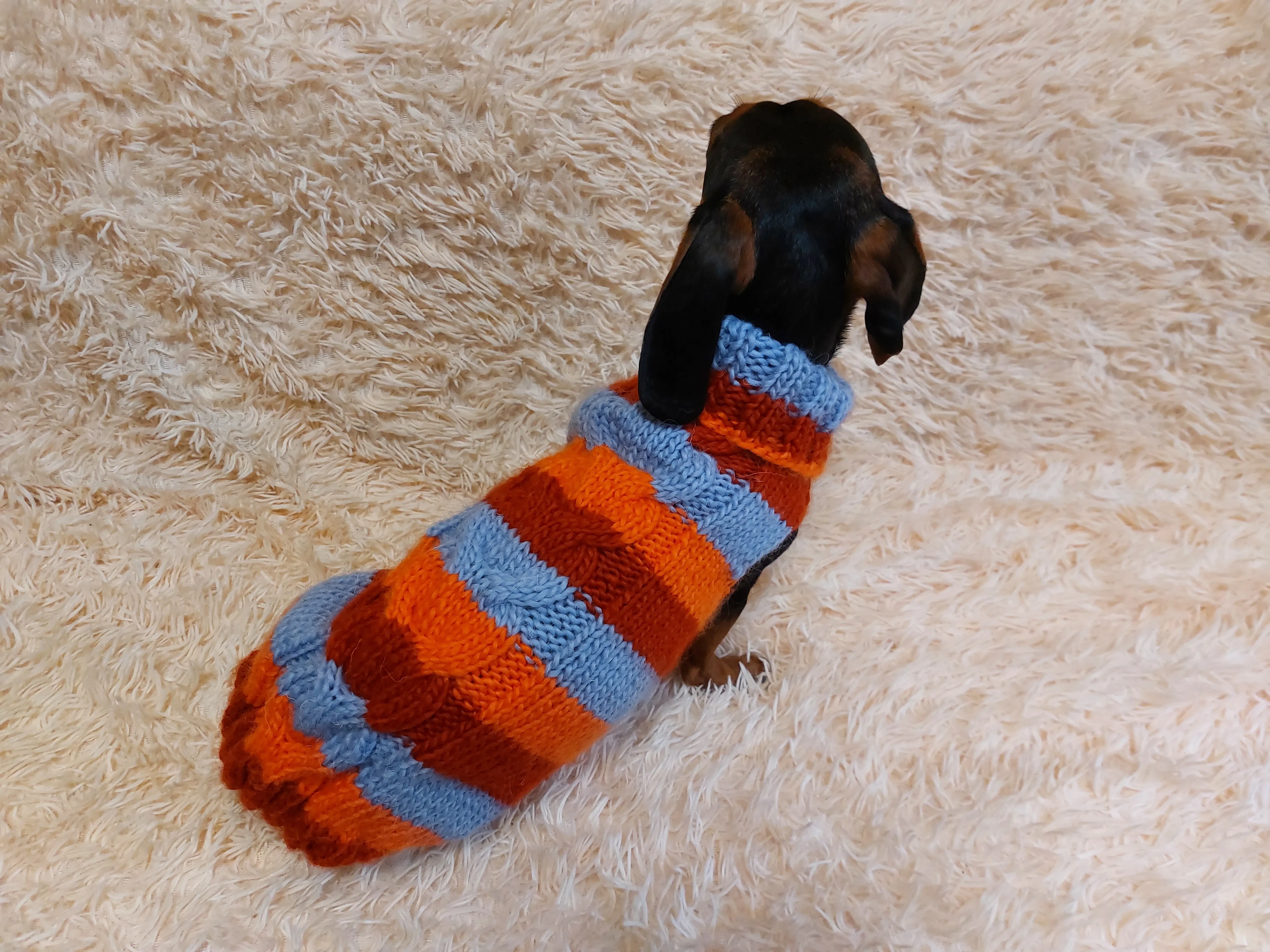 Striped wool winter clothes for animals, jumper with stripes for dogs